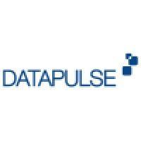 datapulse logo image