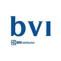 bri ventures logo image