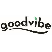 goodvibe.ch logo image