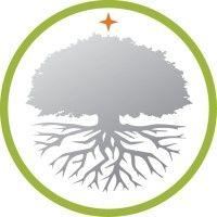 silver tree consulting & services logo image