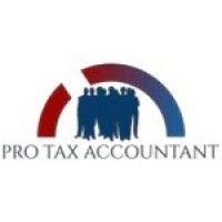 pro tax accountant logo image