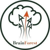 brainforest agency logo image