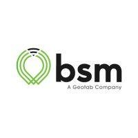 bsm technologies logo image