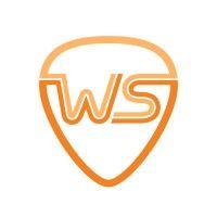 we should write sometime (wsws) logo image