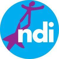 national dance institute (ndi) logo image