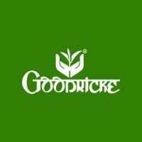 goodricke group limited logo image