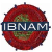 institute for bionanotechnology and medicine logo image