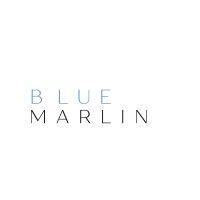 blue marlin partners, llc logo image