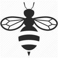 mentrbee logo image