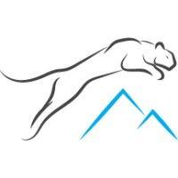 mountain lion aviation logo image