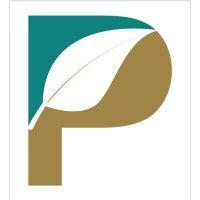 pivot materials logo image