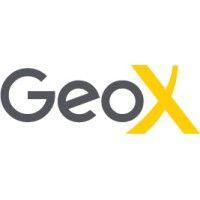 geox innovations logo image