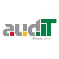 audit sales presentation system logo image