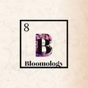 logo of Bloomology A Bloom Media Company