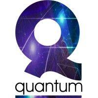 quantum systemic consulting logo image