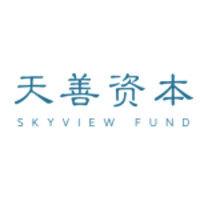 skyview fund logo image