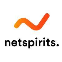 online marketing agentur köln netspirits logo image