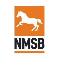 nmsb logo image