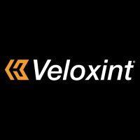 veloxint logo image