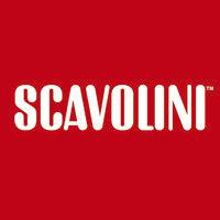 scavolini usa logo image