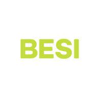 espírito santo investment bank (besi) logo image