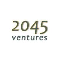 2045 capital logo image