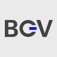 bgv logo image