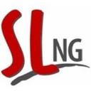 logo of S L Ng Group Of Companies