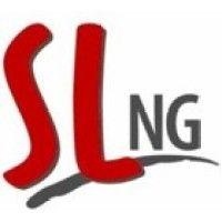 s l ng group of companies logo image