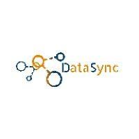 datasync inc. logo image