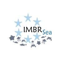 imbrsea logo image