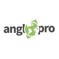 centre anglopro logo image