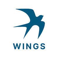 wings - agência de marketing e gestão logo image