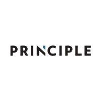 principle auto group logo image