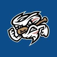 omaha storm chasers logo image