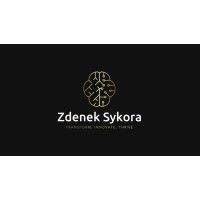 zdenek sykora consulting logo image