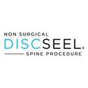 logo of The Discseel Procedure