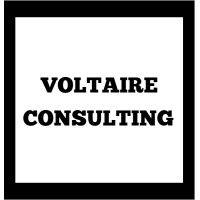 voltaire consulting group logo image