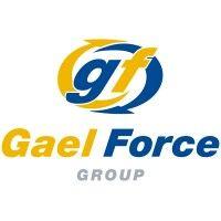 gael force group logo image