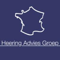 heering advies groep logo image