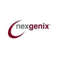 nexgenix inc logo image