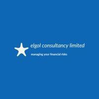 elgol consultancy limited logo image