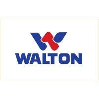 walton hi-tech industries plc. logo image