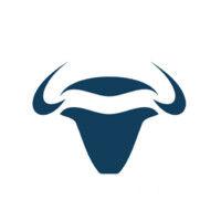 bulltrade logo image