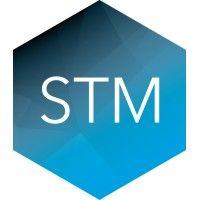 stm group plc logo image