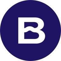 banovo logo image