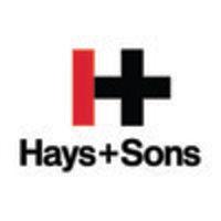 hays + sons logo image