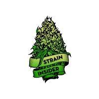 strain insider logo image