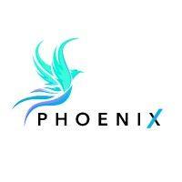 phoenix business insight ltd logo image