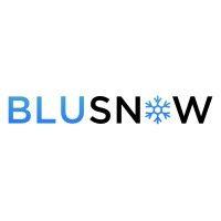 blusnow logo image